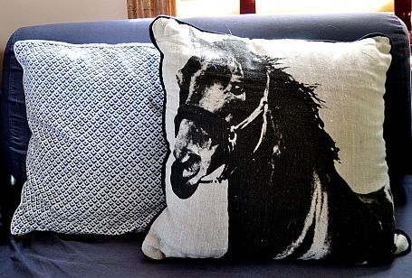 A throw pillow with a black silhouette of a horse on it.