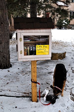 Little Free Library in South Minneapolis near Washburn Park Water Tower.