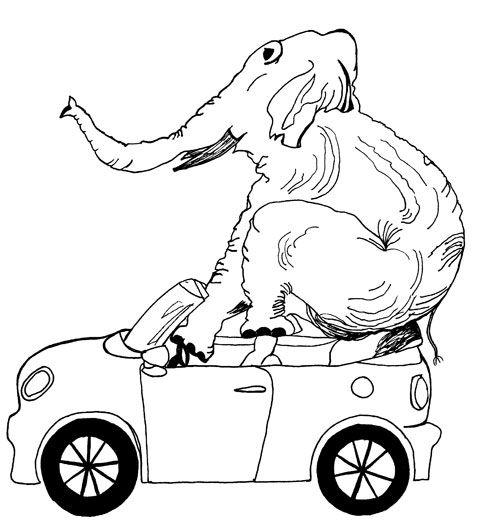 An elephant driving a Mini Cooper convertible.