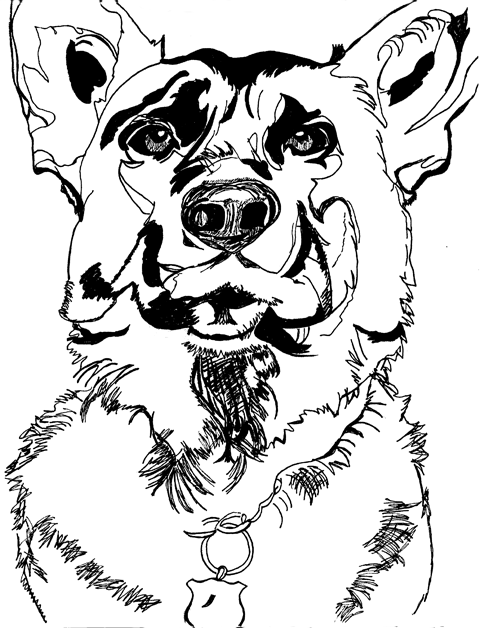 Drawing of a German Shepherd police dog.