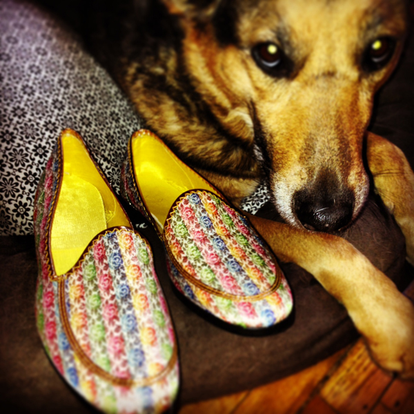 Freja the dog posing with vintage 1960s gold house slippers