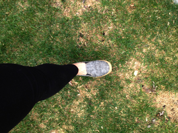 Foot in tennis shoe in grass