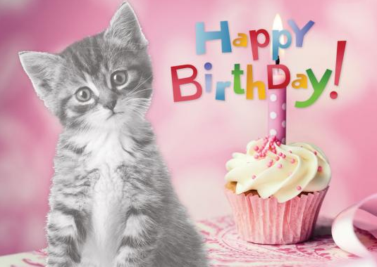 Happy Birthday cat and cupcake!