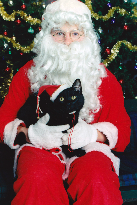 Jones the cat on Santa's lap